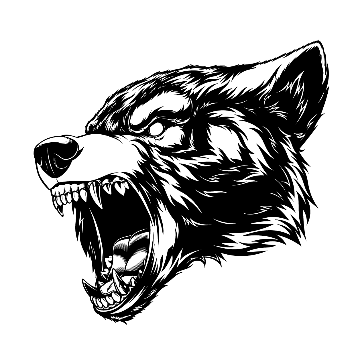 Logo Band